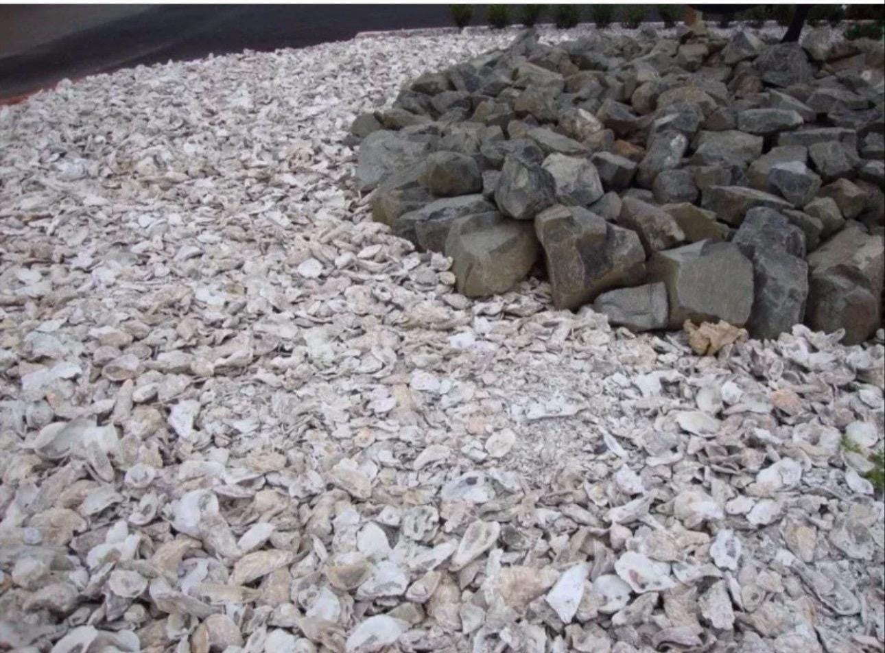 Broken Oyster Shells Clean No Smell For Garden Driveways Decor *9 Lbs* Free Shipping