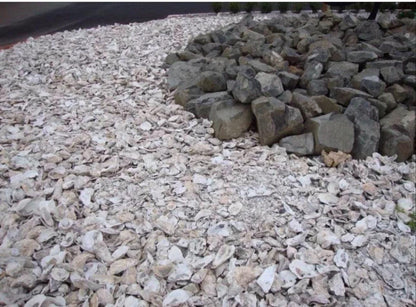 Broken Oyster Shells Clean No Smell For Garden Driveways Decor *9 Lbs* Free Shipping