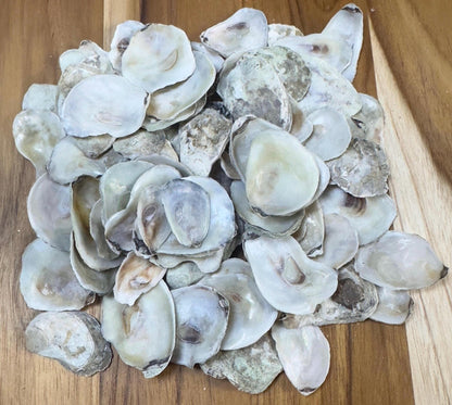 Extra Small Bulk Oyster Shells (1 to 1 1/2inch) Flat Side Clean No Smell - Art, Crafts, Painting, Aquariums- Free Shipping